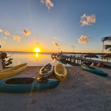 Bay Towers Apart otel Caye Caulker Dış mekan fotoğraf